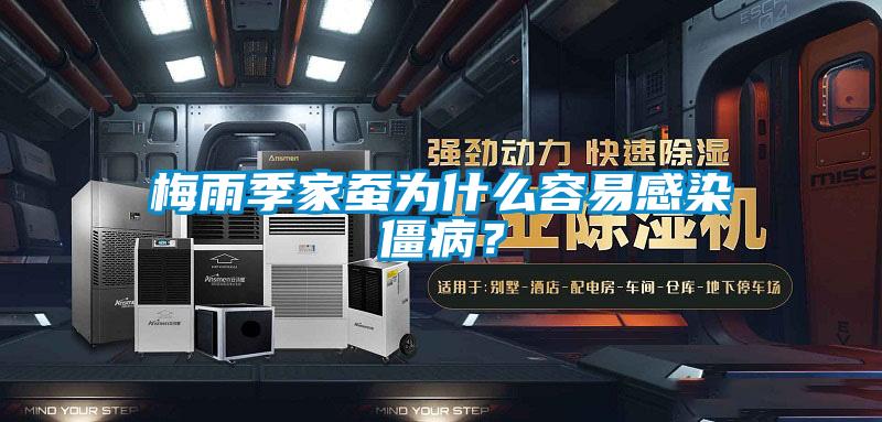 梅雨季家蠶為什么容易感染僵病？