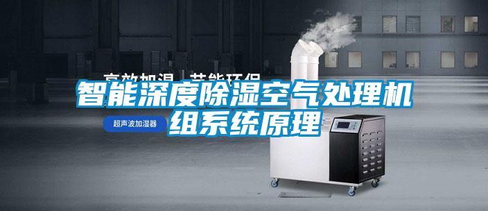 智能恒濕加濕器，一鍵啟動(dòng)自動(dòng)恒濕