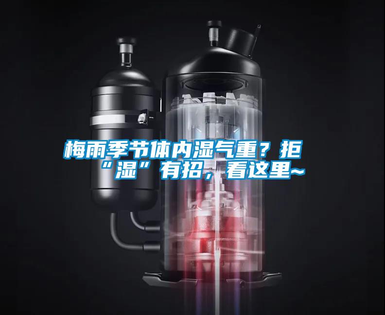 梅雨季節(jié)體內(nèi)濕氣重？拒“濕”有招，看這里~