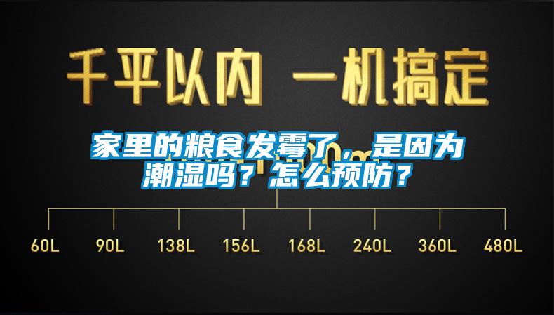 家里的糧食發(fā)霉了，是因?yàn)槌睗駟?？怎么預(yù)防？