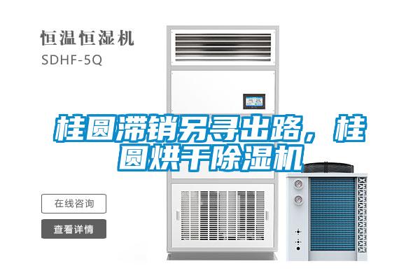 桂圓滯銷另尋出路，桂圓烘干除濕機
