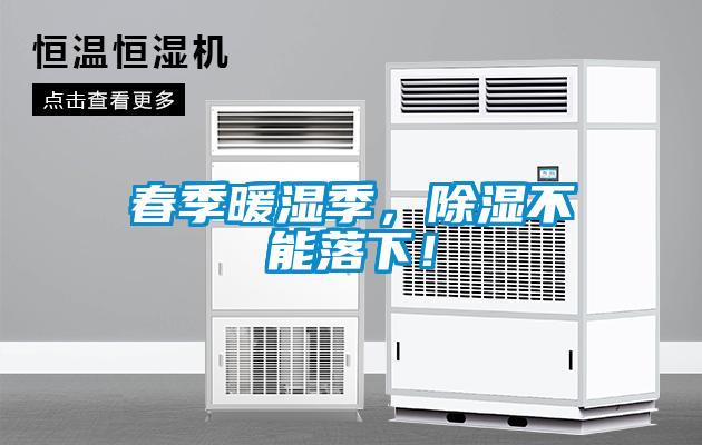 春季暖濕季，除濕不能落下！
