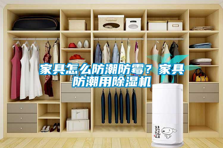 家具怎么防潮防霉？家具防潮用除濕機(jī)