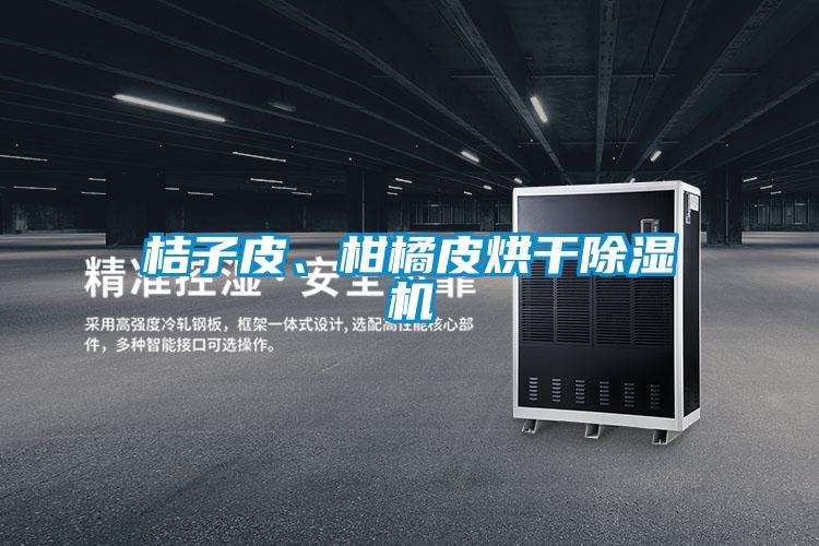 桔子皮、柑橘皮烘干除濕機(jī)