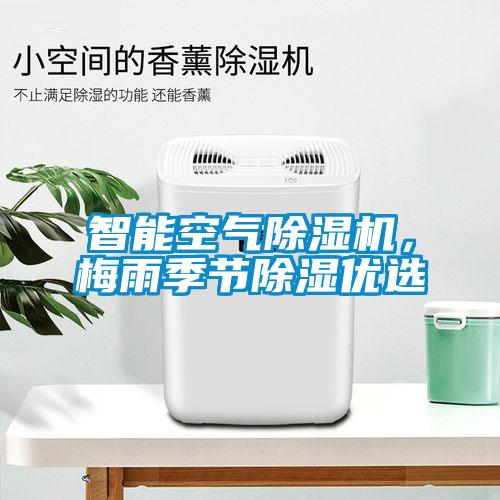 巴西菇、姬松茸烘干機(jī)-怎樣烘干色澤好且菇體褶片完整？