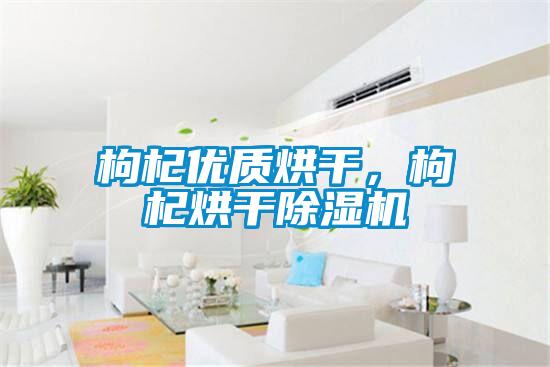 枸杞優(yōu)質烘干，枸杞烘干除濕機