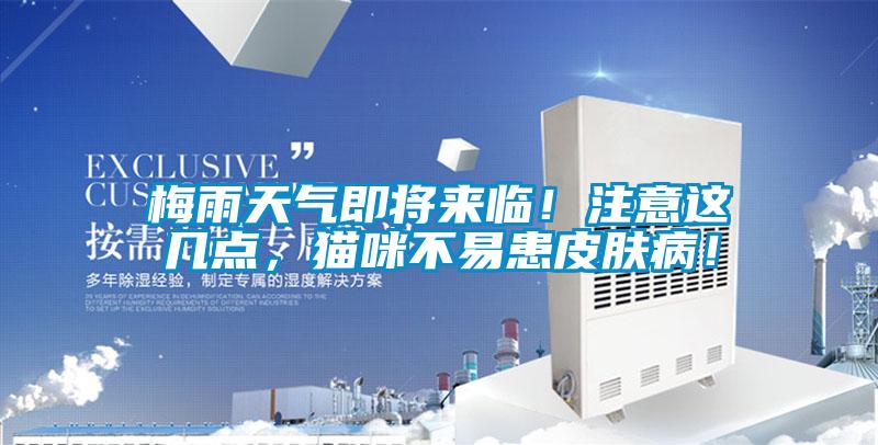 梅雨天氣即將來臨！注意這幾點，貓咪不易患皮膚?。?/></p>
						    <p style=