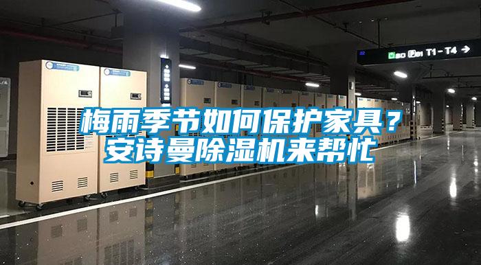 梅雨季節(jié)如何保護(hù)家具？安詩曼除濕機(jī)來幫忙