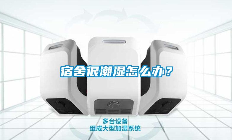 宿舍很潮濕怎么辦？