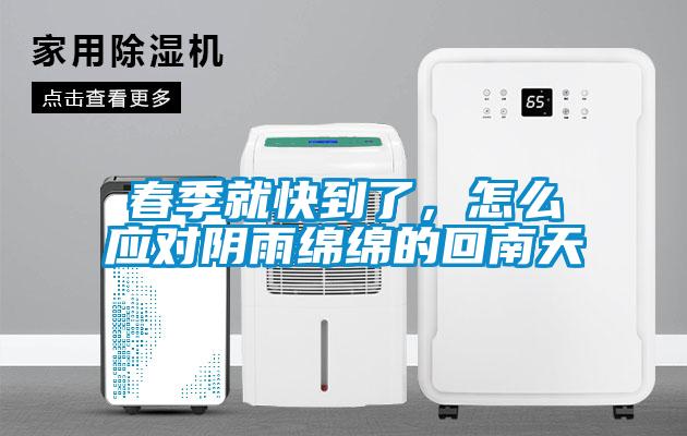 春季就快到了，怎么應對陰雨綿綿的回南天