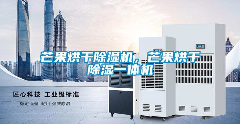 芒果烘干除濕機(jī)，芒果烘干除濕一體機(jī)