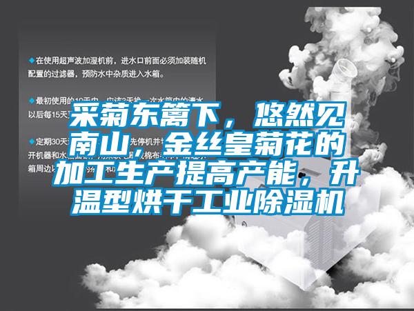 采菊東籬下，悠然見(jiàn)南山，金絲皇菊花的加工生產(chǎn)提高產(chǎn)能，升溫型烘干工業(yè)除濕機(jī)