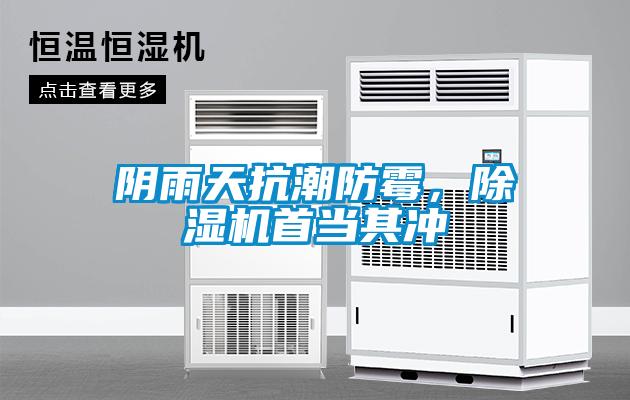 陰雨天抗潮防霉，除濕機首當其沖