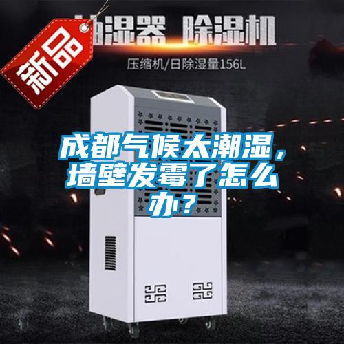 成都?xì)夂蛱睗?，墻壁發(fā)霉了怎么辦？