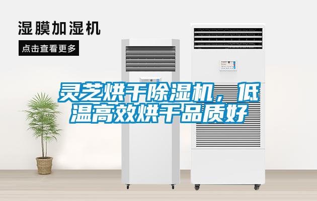 靈芝烘干除濕機(jī)，低溫高效烘干品質(zhì)好