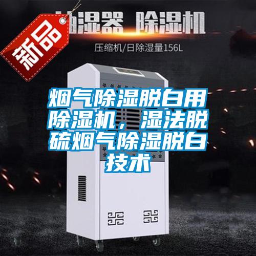 煙氣除濕脫白用除濕機，濕法脫硫煙氣除濕脫白技術(shù)