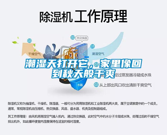 潮濕天打開它，家里像回到秋天般干爽