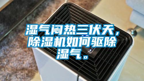 濕氣悶熱三伏天，除濕機(jī)如何驅(qū)除濕氣。