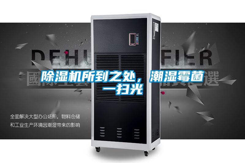 除濕機(jī)所到之處，潮濕霉菌一掃光