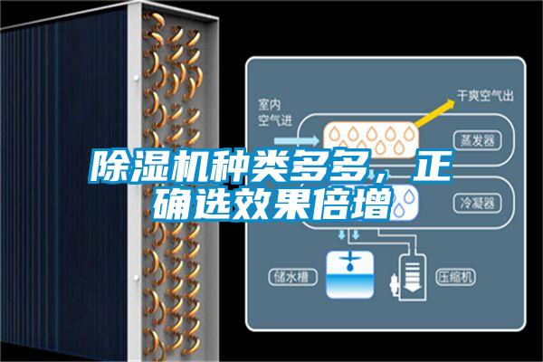 除濕機種類多多，正確選效果倍增