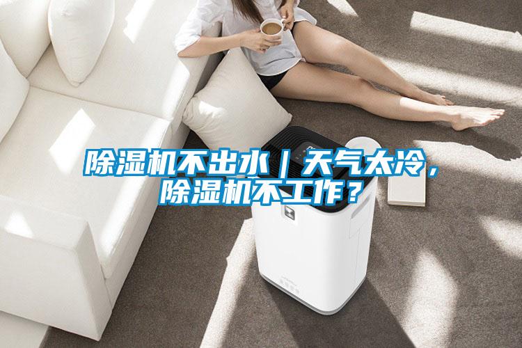 除濕機(jī)不出水｜天氣太冷，除濕機(jī)不工作？