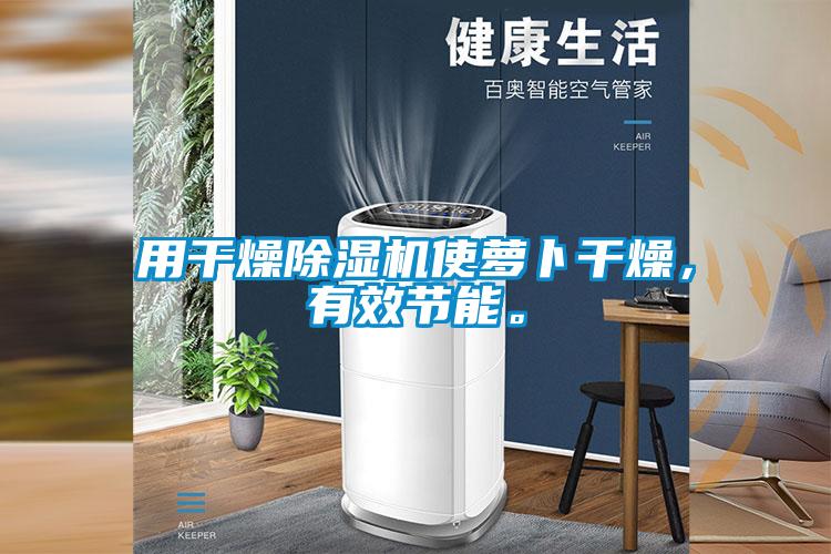 用干燥除濕機(jī)使蘿卜干燥，有效節(jié)能。