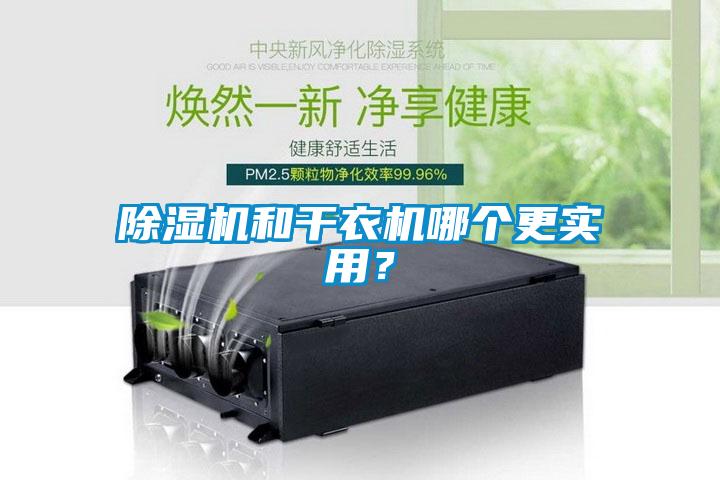 除濕機和干衣機哪個更實用？