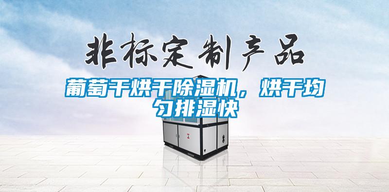 葡萄干烘干除濕機(jī)，烘干均勻排濕快