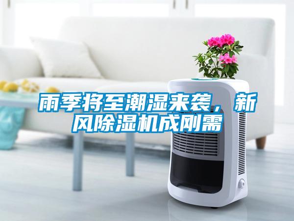 雨季將至潮濕來襲，新風(fēng)除濕機(jī)成剛需