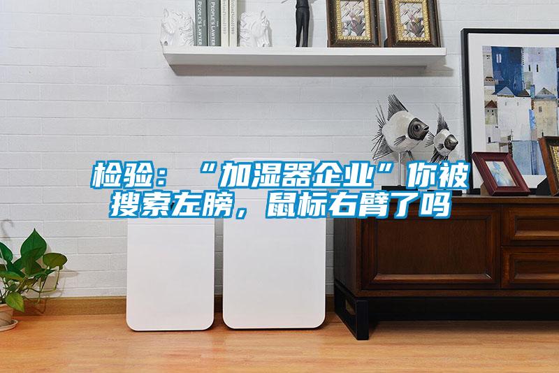 檢驗(yàn)：“加濕器企業(yè)”你被搜索左膀，鼠標(biāo)右臂了嗎