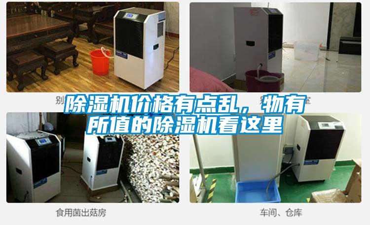 除濕機價格有點亂，物有所值的除濕機看這里