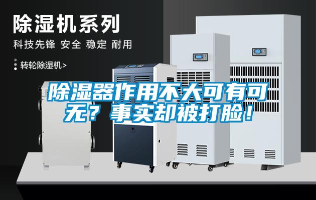 除濕器作用不大可有可無？事實卻被打臉！