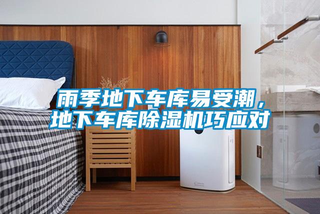 雨季地下車庫易受潮，地下車庫除濕機(jī)巧應(yīng)對