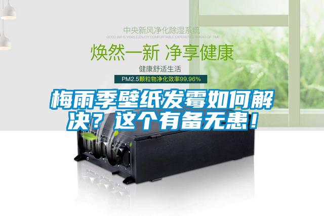 梅雨季壁紙發(fā)霉如何解決？這個有備無患！