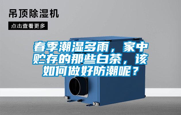 春季潮濕多雨，家中貯存的那些白茶，該如何做好防潮呢？