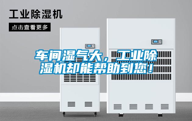 車間濕氣大，工業(yè)除濕機(jī)卻能幫助到您！