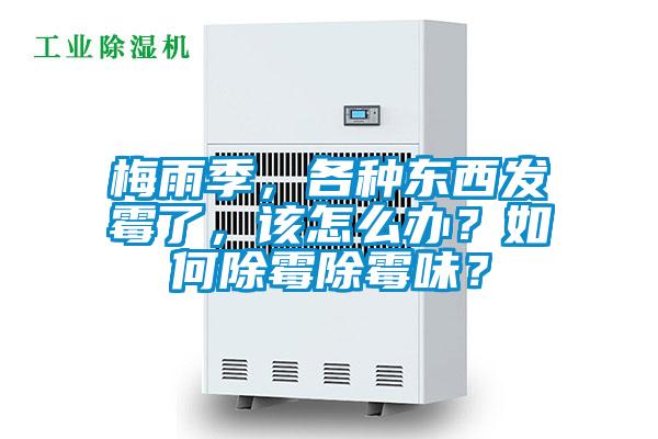 梅雨季，各種東西發(fā)霉了，該怎么辦？如何除霉除霉味？