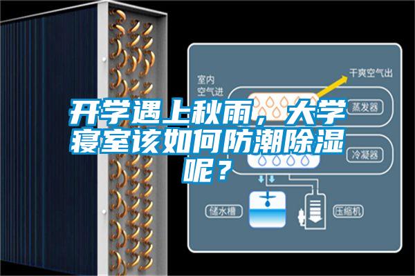 開學(xué)遇上秋雨，大學(xué)寢室該如何防潮除濕呢？
