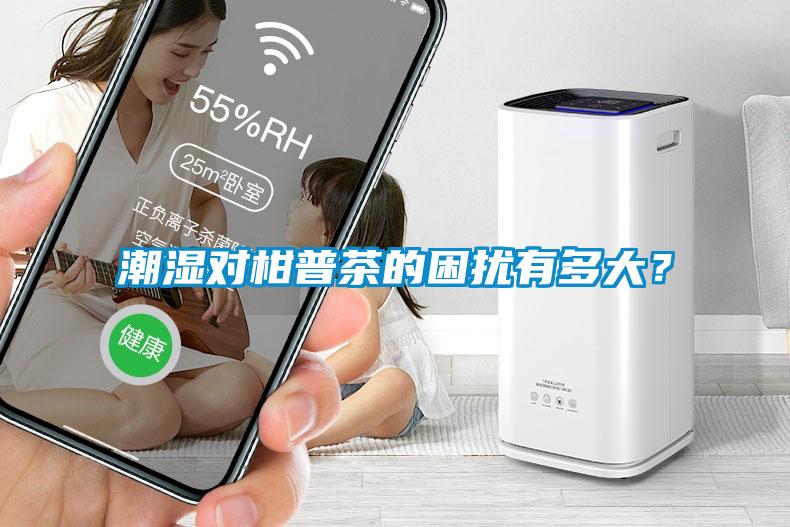 潮濕對(duì)柑普茶的困擾有多大？