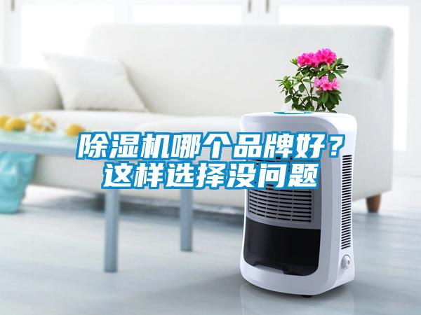 除濕機(jī)哪個(gè)品牌好？這樣選擇沒(méi)問(wèn)題