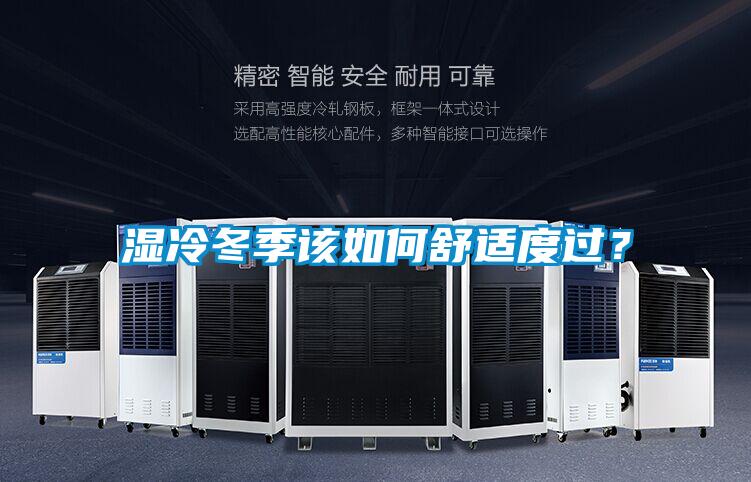 濕冷冬季該如何舒適度過？