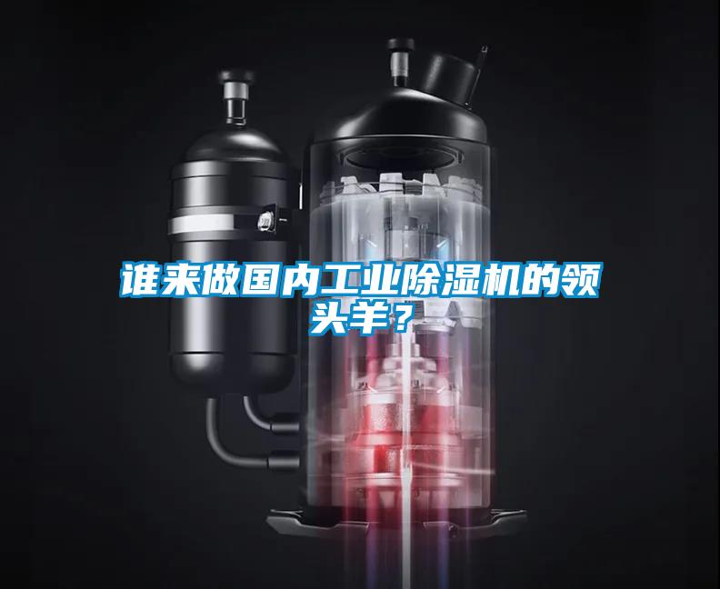 誰來做國內(nèi)工業(yè)除濕機的領(lǐng)頭羊？
