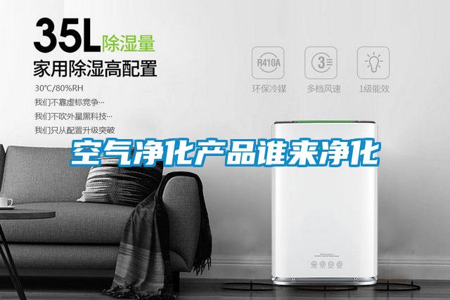空氣凈化產(chǎn)品誰(shuí)來凈化