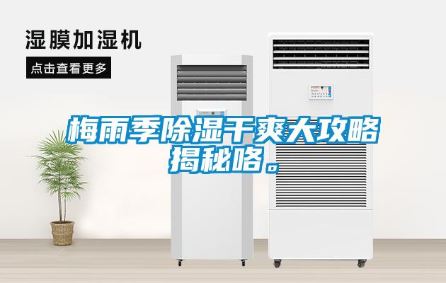 梅雨季除濕干爽大攻略揭秘咯。