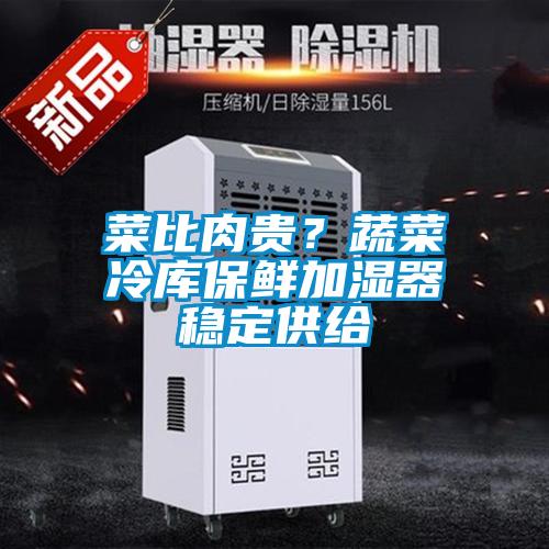 菜比肉貴？蔬菜冷庫保鮮加濕器穩(wěn)定供給