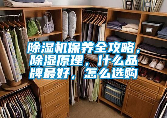 除濕機(jī)保養(yǎng)全攻略，除濕原理，什么品牌最好，怎么選購