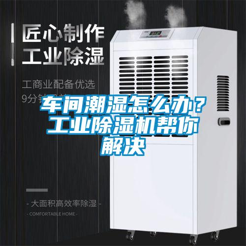 車間潮濕怎么辦？工業(yè)除濕機幫你解決