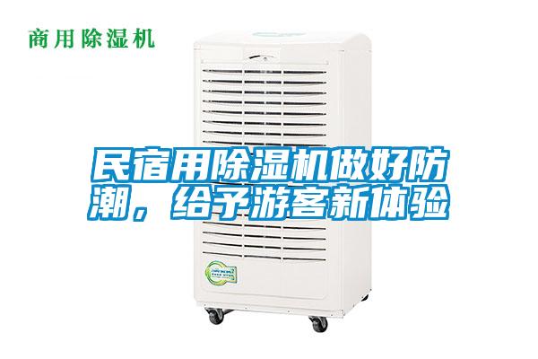 民宿用除濕機做好防潮，給予游客新體驗