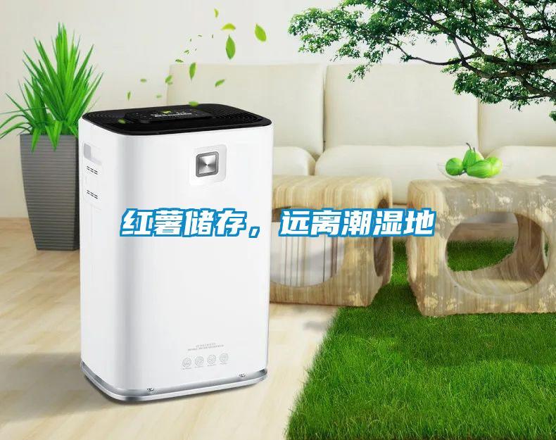 紅薯儲(chǔ)存，遠(yuǎn)離潮濕地