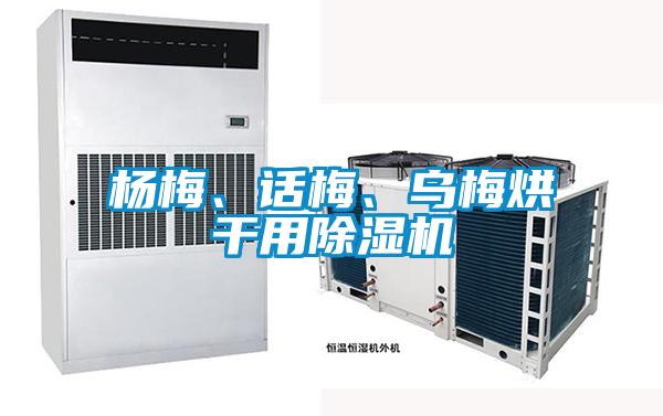 楊梅、話梅、烏梅烘干用除濕機(jī)